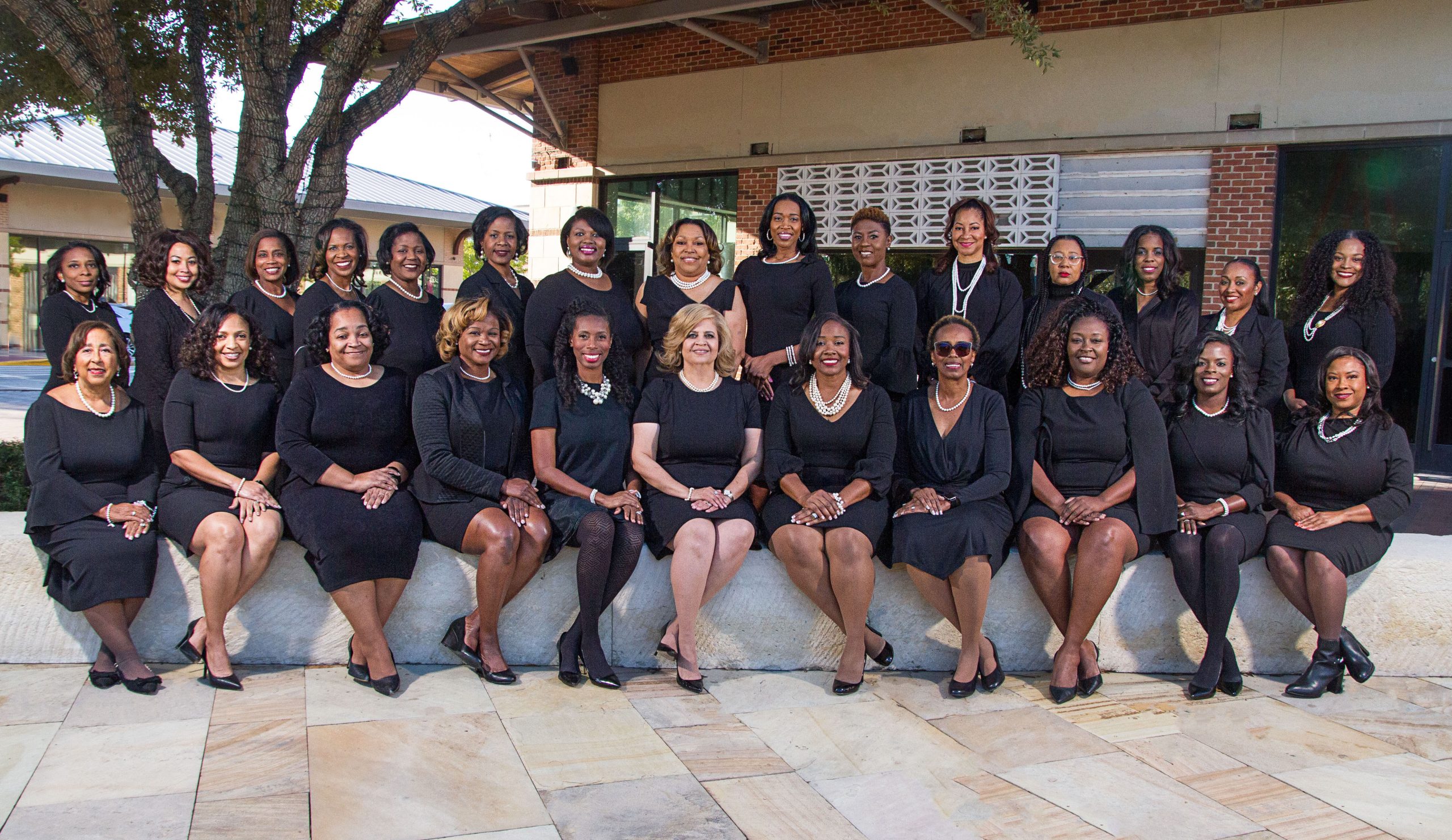 Katy-Richmond Area (TX) Chapter Picture